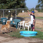 Wes and Buddy