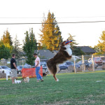 Track the high jumper